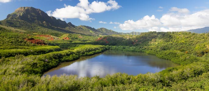 Alekoko Menehune Fishpond