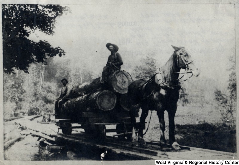 Example of Collections: Log Tram Road at Mackeyville, Tucker County, W. Va. ca. 1893 IDNO: 000048