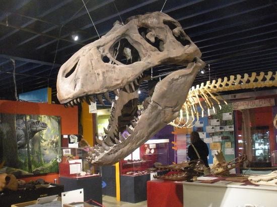 View inside the museum