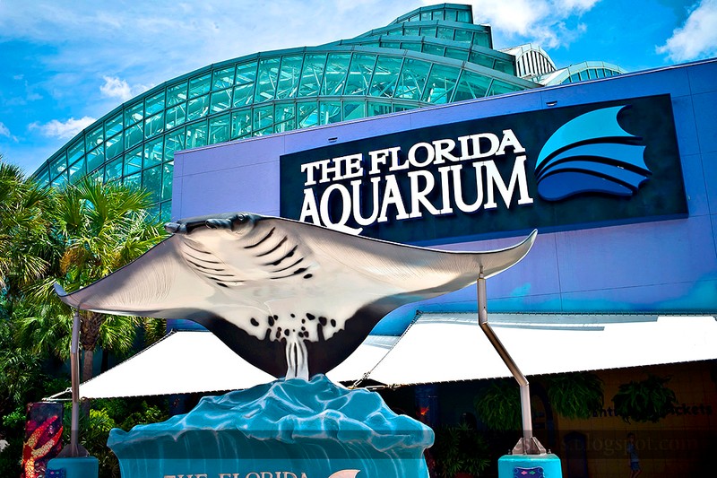 The Florida Aquarium was founded in 1977 as the Clearwater Science Center. The present facility opened in 1995.