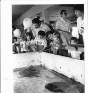 The Marine Science Center stingray exhibit before the incorporation of the Florida Aquarium