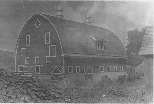 Window, Building, Plant, House