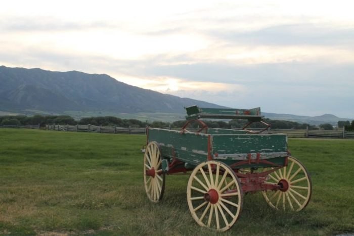 Antique Wagon