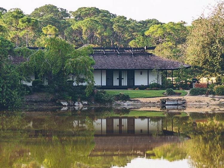 Morikami Museum and Japanese Gardens was established in 1977.