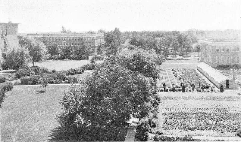 In the 1920s there were school vegetable gardens between the Training School and Manual Arts building.