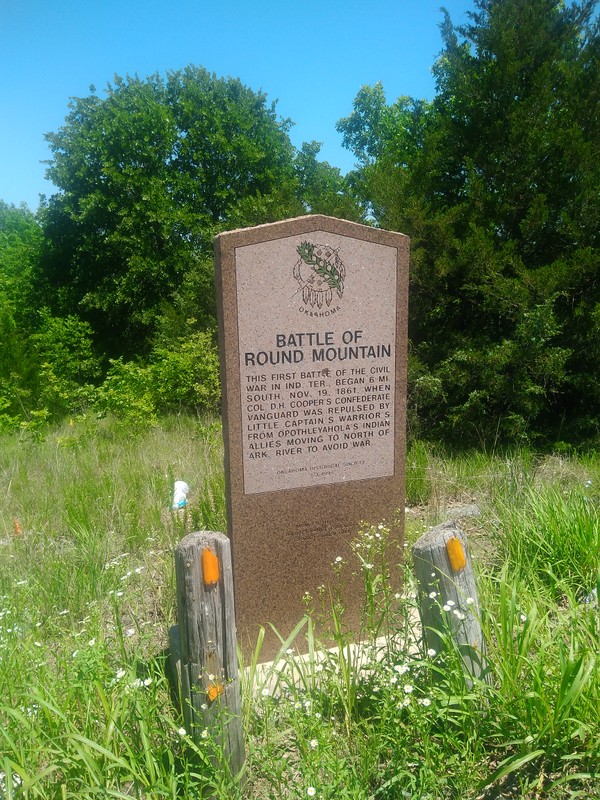 Vegetation, Grass, Plant community, Headstone