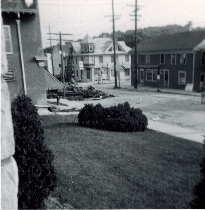 Plant, Property, Building, Window
