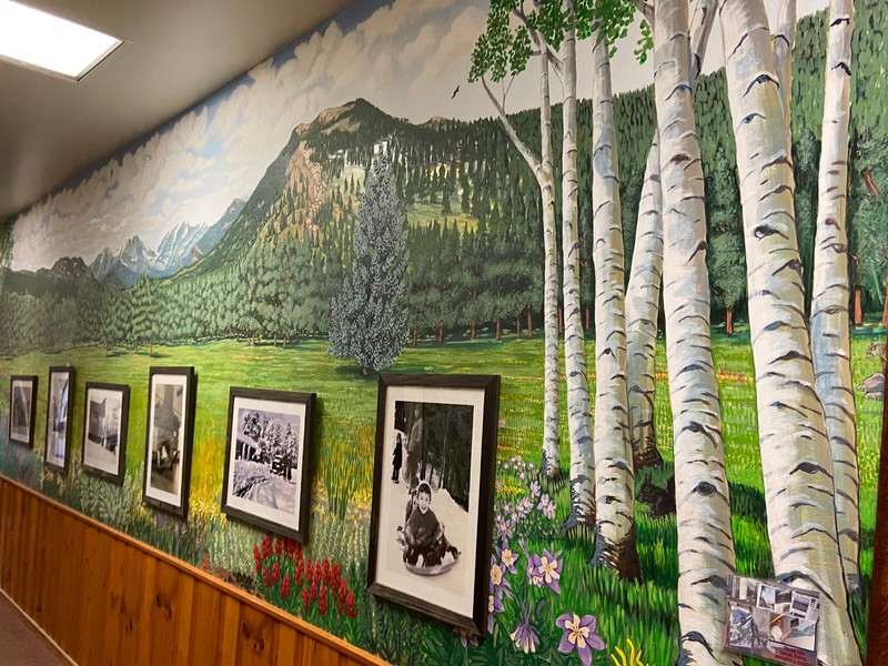 This image shows a small grove of Aspen trees at the far right side of a long mural. The trees are in front of a green, grassy meadow with purple, yellow, and red flowers. Mountains can be seen in the background underneath a blue sky filled with clouds. 