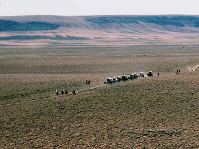 Somewhere around 400,000 emigrants crossed South Pass in search for Oregon, California or Utah’s valley of the Great Salt Lake.  They brought along their wagons of supplies and their cattle in search for a new start.  