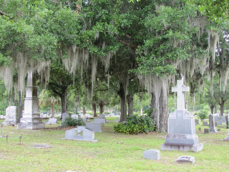 Some of the graves at Greenwood Cemetery.