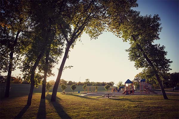 Trees surround playground, with parking lot in foreground.