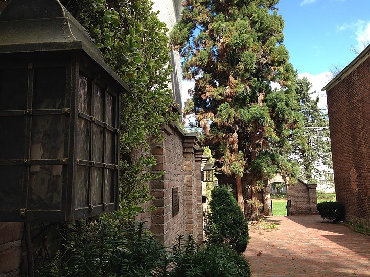 The Miriam Fisher Terrace at the Packwood House Museum contains the Fetherstons' 1930s oriental garden, with its rare Japanese cedars.