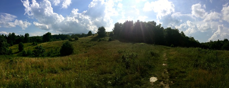 Another view of the field that houses Mile Marker 3.5 of the Boone Fork Trail.