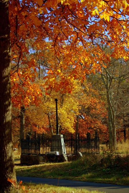 Washington Light Infantry Monument in Fall 
Credit: NPS
Orange and yellow leaves provide a backdrop for the 1856 Washington Light Infantry Monument.