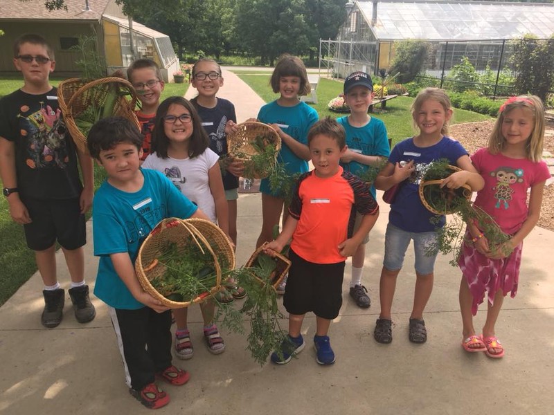 Garden Adventures campers harvesting ingredients for soup