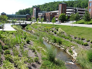 This image shows a stretch of Kraut Creek along Rivers Street in its restored state in 2013.

http://www.news.appstate.edu/2013/12/16/stream-restorations/