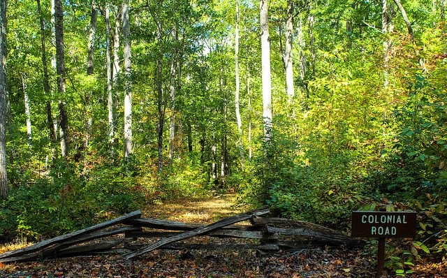 The remains of an old road from the Colonial Era