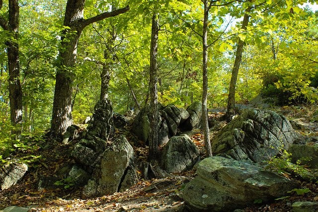 Location of Col William Campbell's men engaged in battle against Ferguson's Loyalist forces.