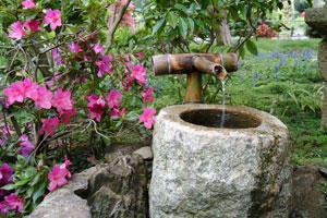 Tea Garden (image from Hakone Estate & Gardens)