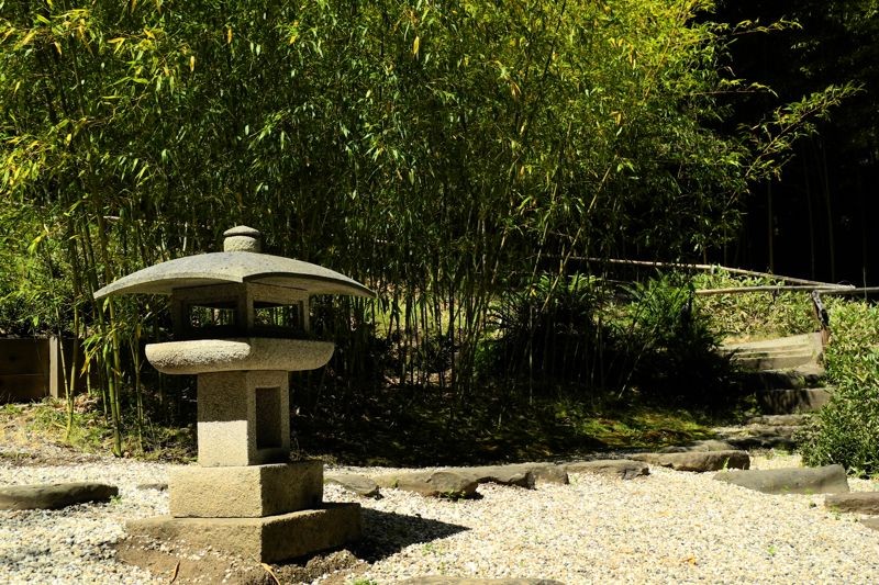 Zen Garden (image from flowerpictures.net)