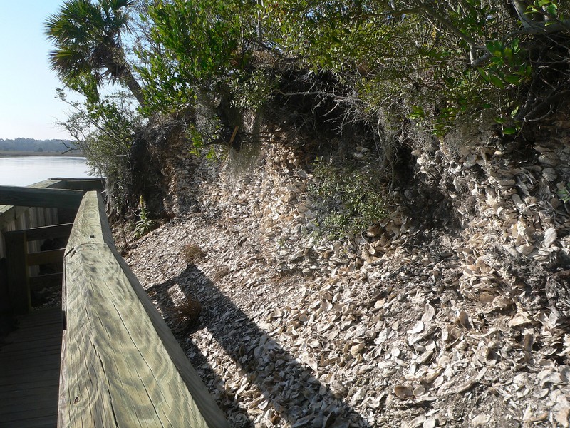 Spanish Mount Point midden site