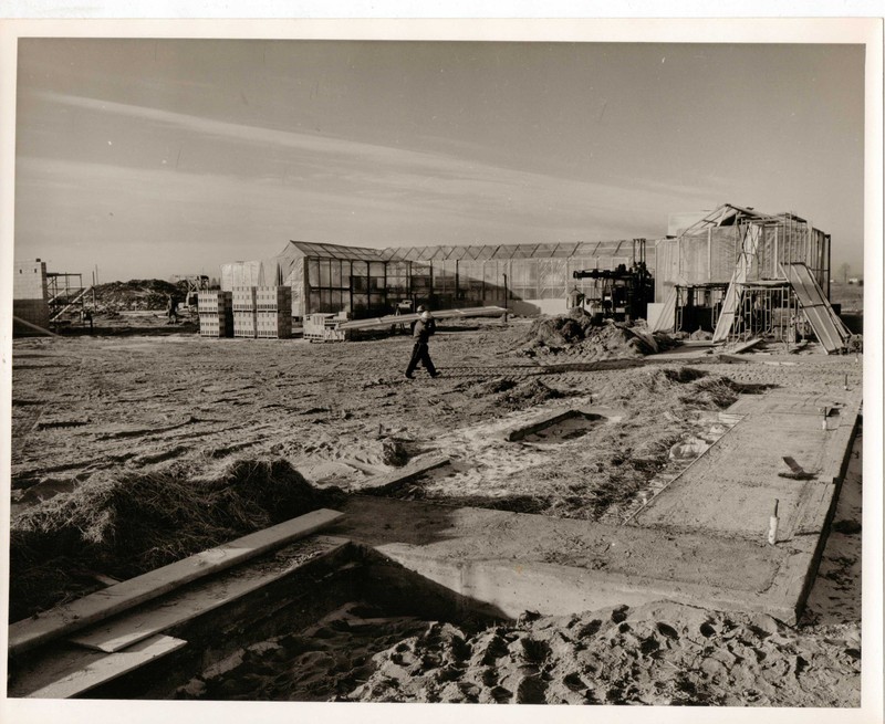 1964