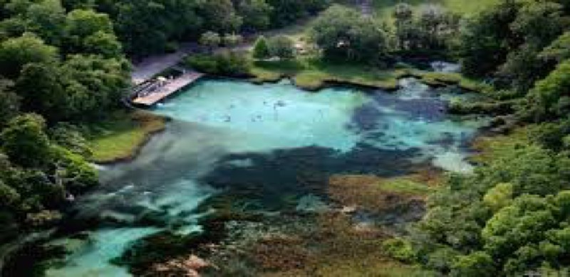 This is an overview of the main river area and how clear the water is. The wildlife and trees surrounding make up the beautiful park it is.