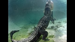 If your brave enough to swim with them alligators are in the water as well.