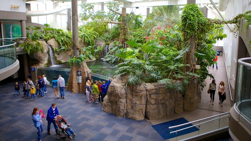 Inside the PPG Aquarium.