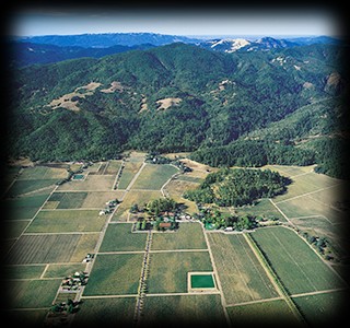 Inglenook Winery, aerial view (1995)