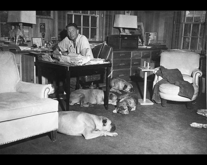 Black and white photograph featuring a man sitting at a desk in the center of the image and four large dogs sleeping around his feet.