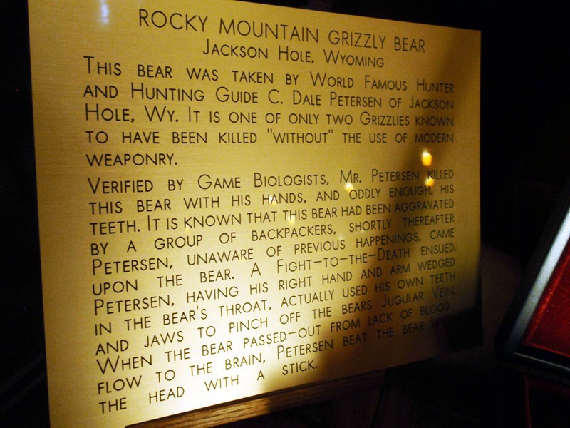 Plaque underneath the Million Dollar Cowboy grizzly bear mount