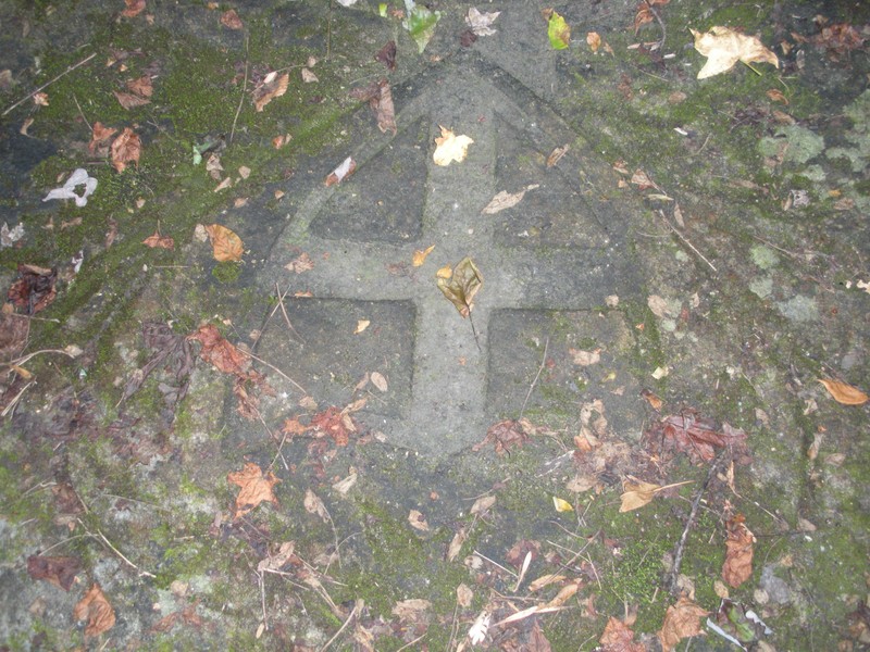 Here you can see the Family crest covered in moss. (via https://smoothingit.wordpress.com/2013/02/10/rock-carvings-on-the-new-river/ )