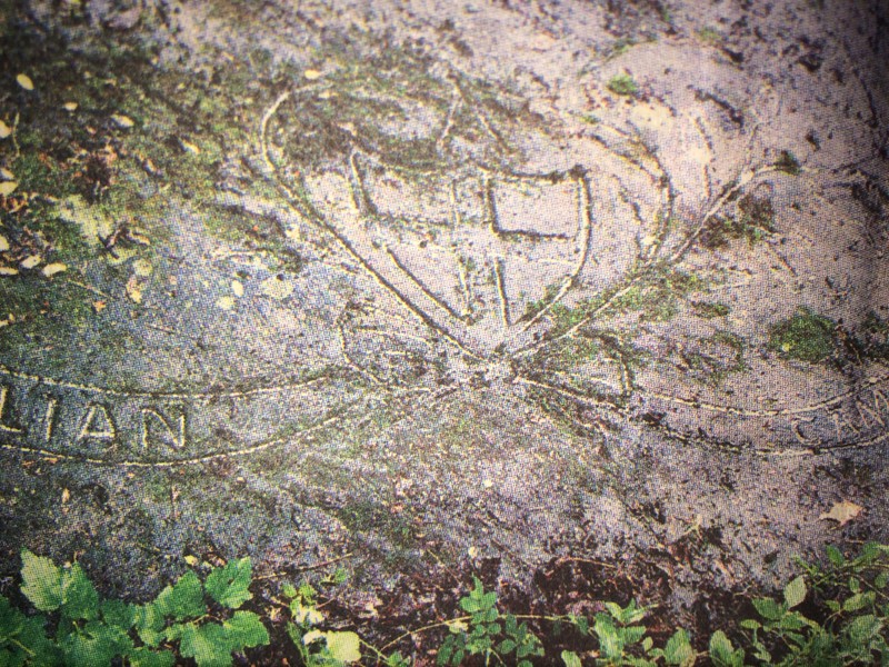 Here the shield (family crest) can be seen before the moss grew over it. (via Rick Steelhammer from the Gazette Mail June 3, 2007)