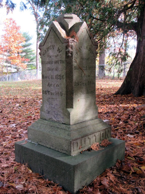 Headstone, Grave, Tree, Leaf