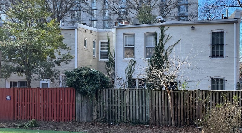 Plant, Building, Daytime, Window