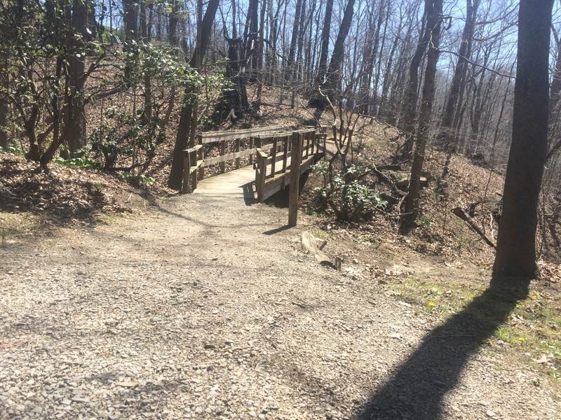 Foot bridge at the arboretum