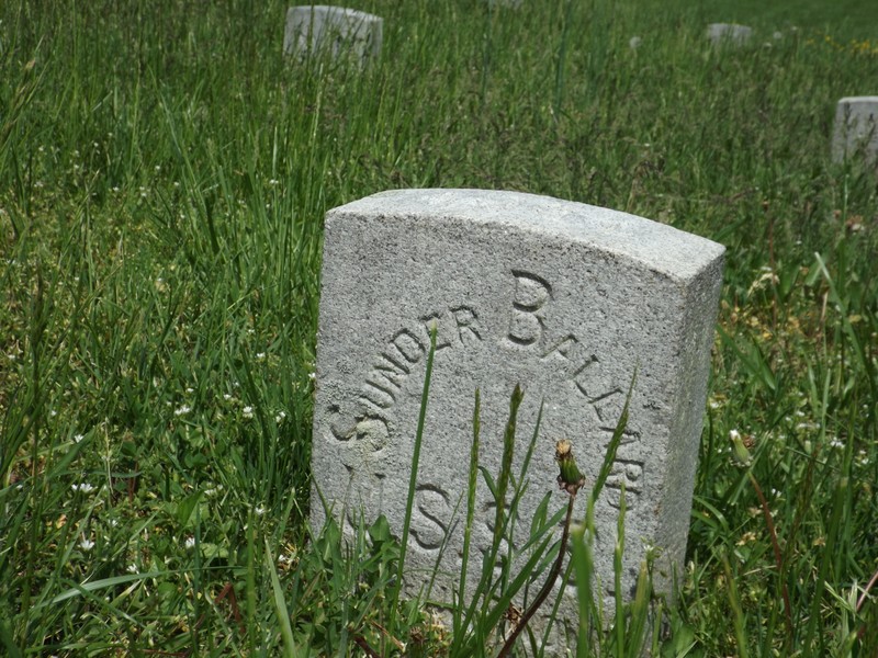 Plant, Natural environment, Cemetery, Grave