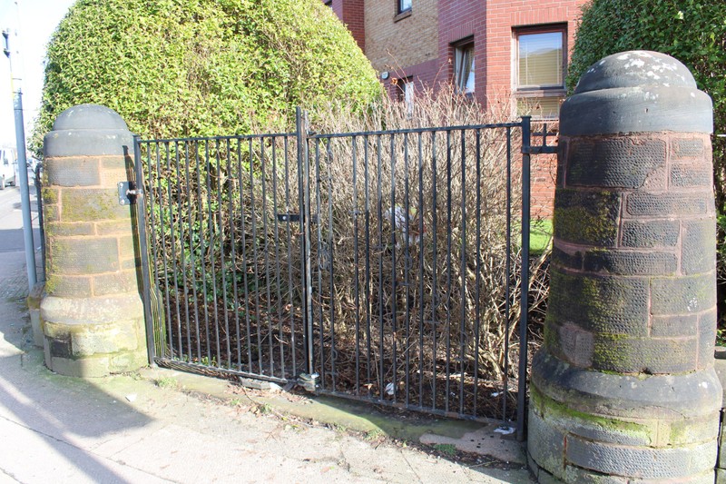 Plant, Infrastructure, Fence, Road surface