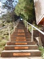 Stairs with plaques of those who have helped preserve them. 