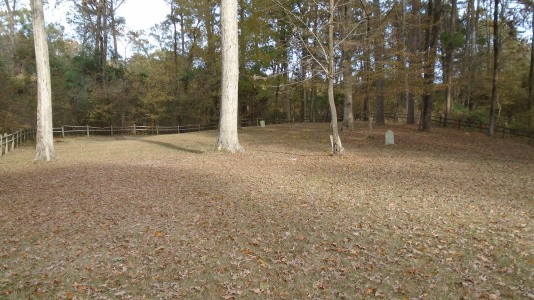 View toward the eastern end of the cemetery