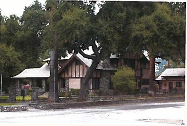 Plant, Window, Building, Tree