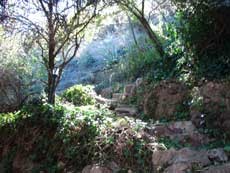 A look at the hillside gardens of the Inn