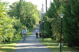 Nature, Mode of transport, Bicycle frame, Road