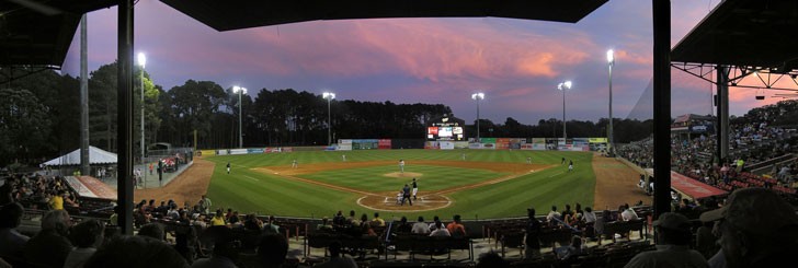 View of the field