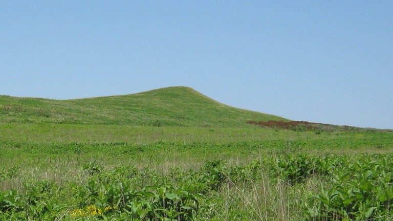 A closer view of the mound