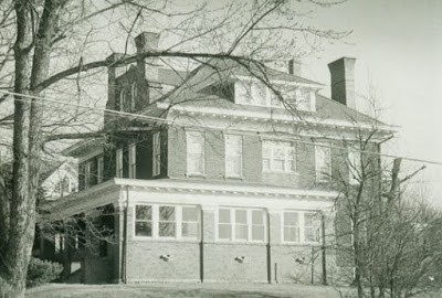 Building, Window, Tree, Plant