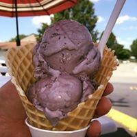 The Famous Grape Pineapple Ice Cream in a Homemade Waffle Cone