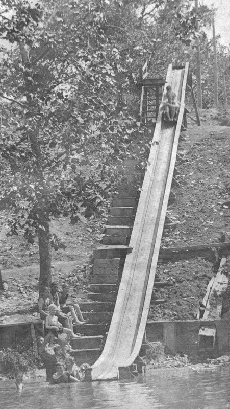 Wood, Plant, Black-and-white, Thoroughfare