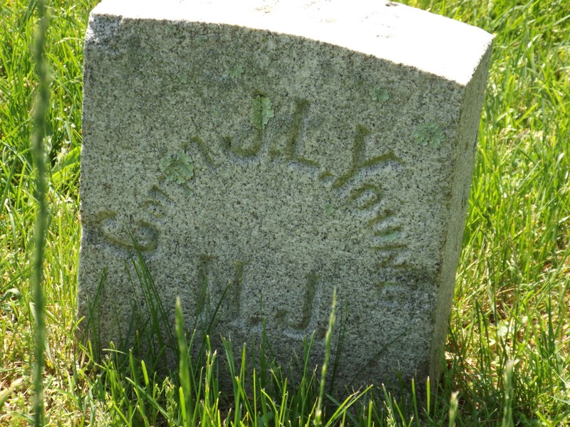 Plant, Cemetery, Headstone, Grave